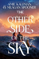 Image for "The Other Side of the Sky"