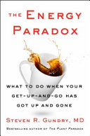 Image for "The Energy Paradox"
