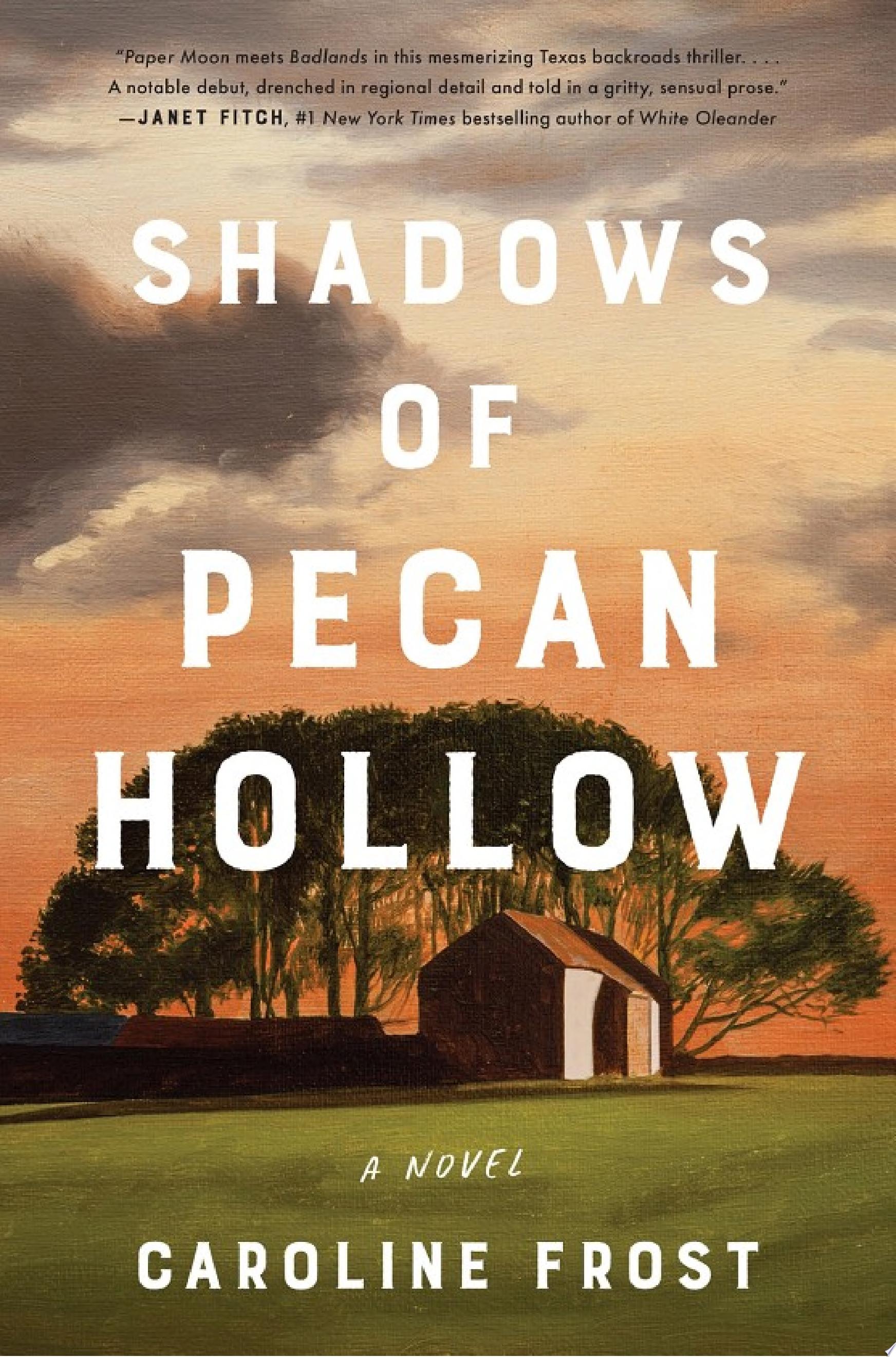 Image for "Shadows of Pecan Hollow"