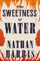 Image for "The Sweetness of Water"