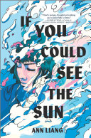 Image for "If You Could See the Sun"