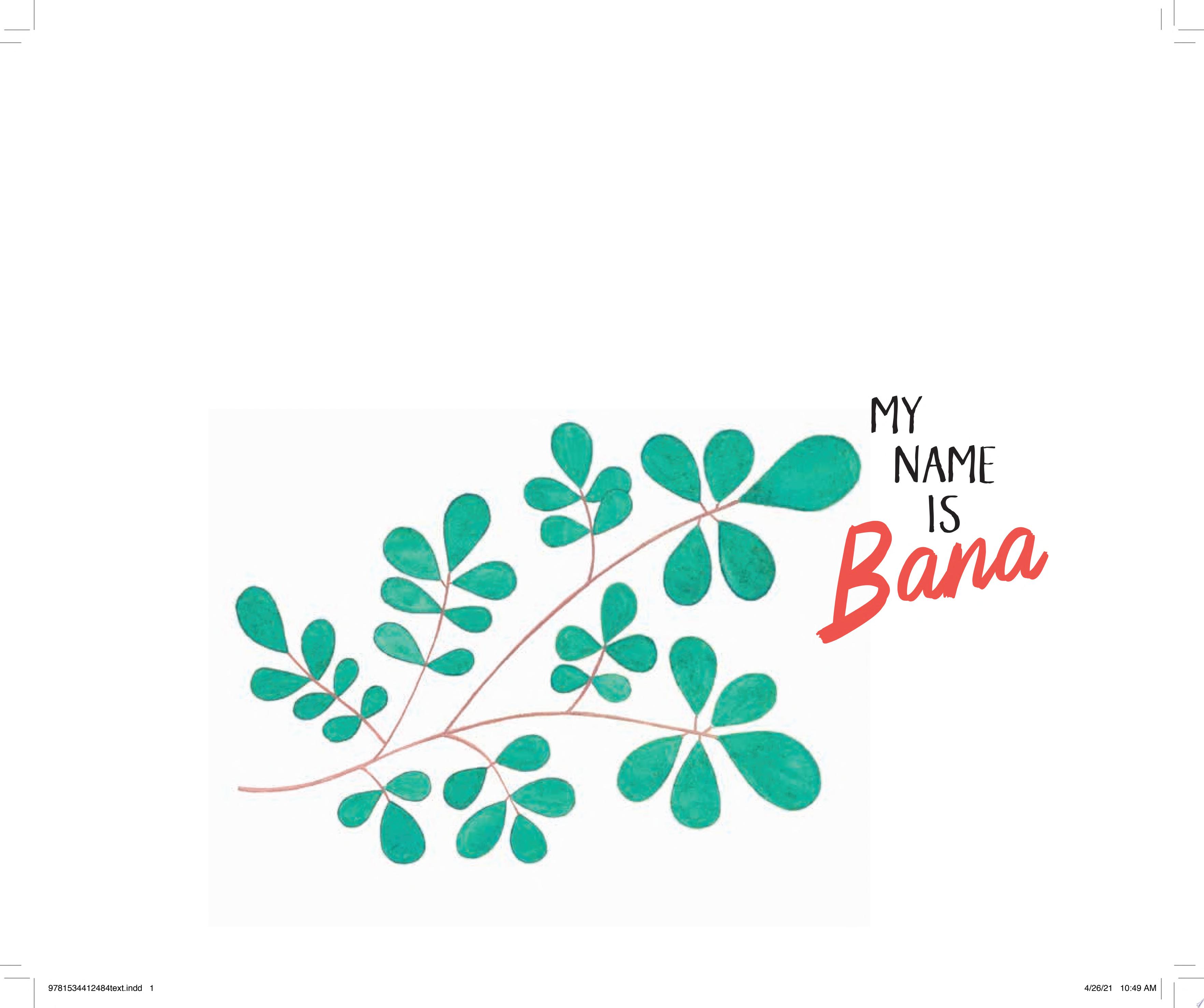 Image for "My Name Is Bana"