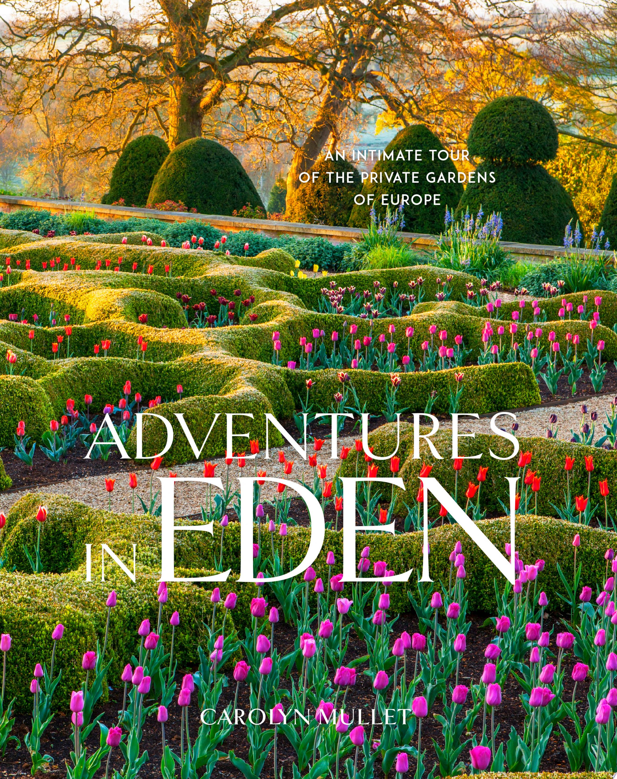 Image for "Adventures in Eden"