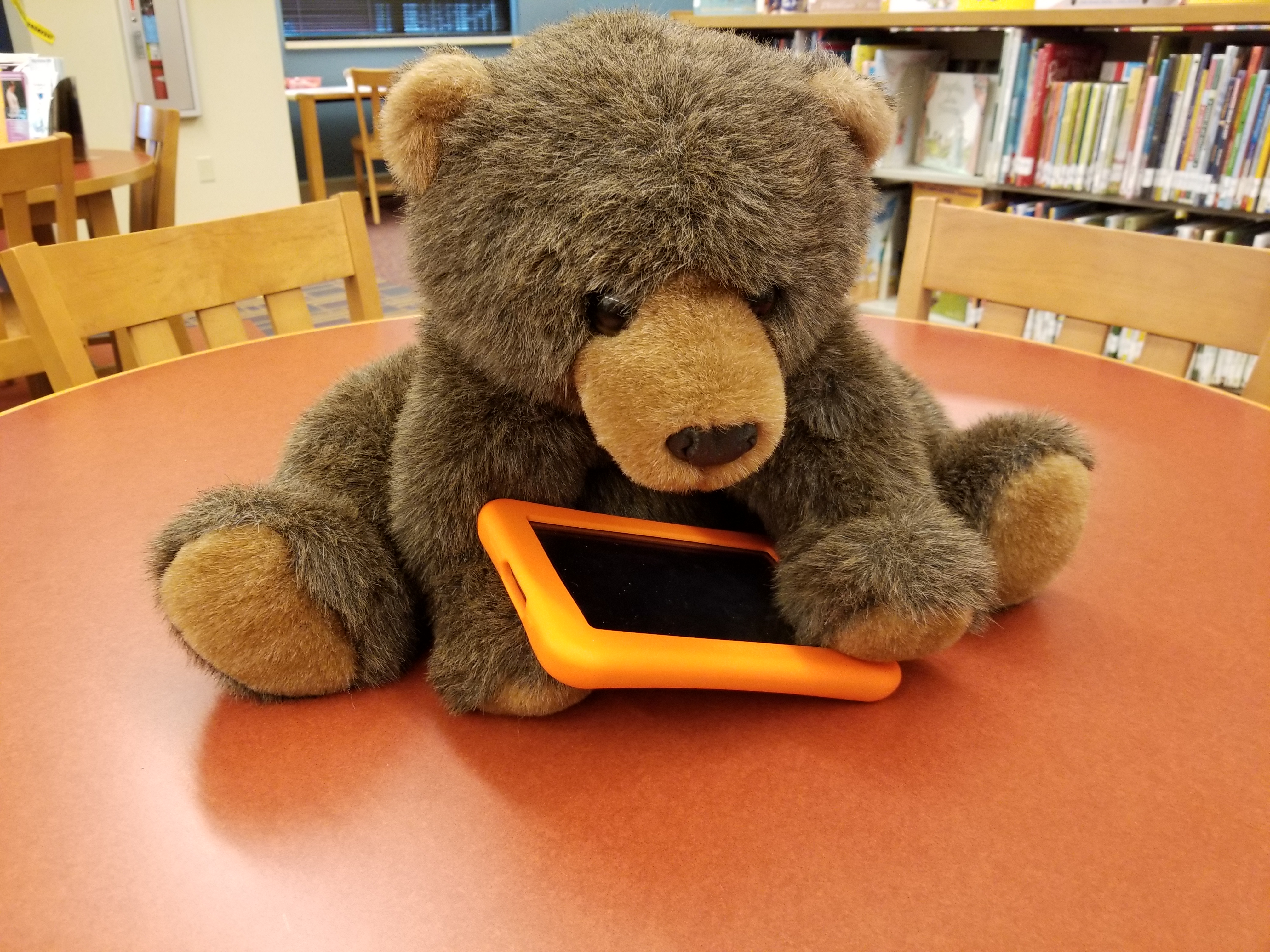 Bear with iPad