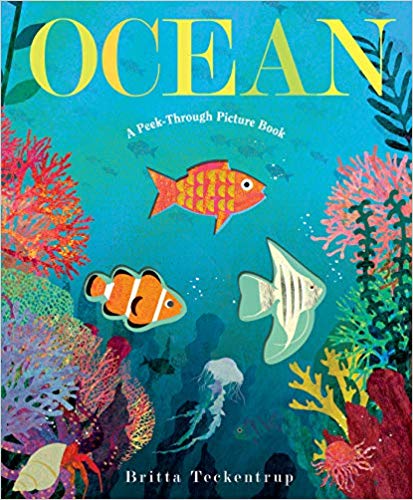 Cover Image for Ocean