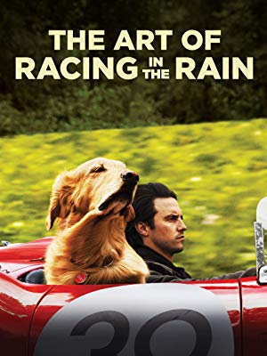 cover image for "The Art of Racing in the Rain"
