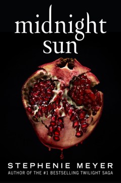 Image for "Midnight Sun"