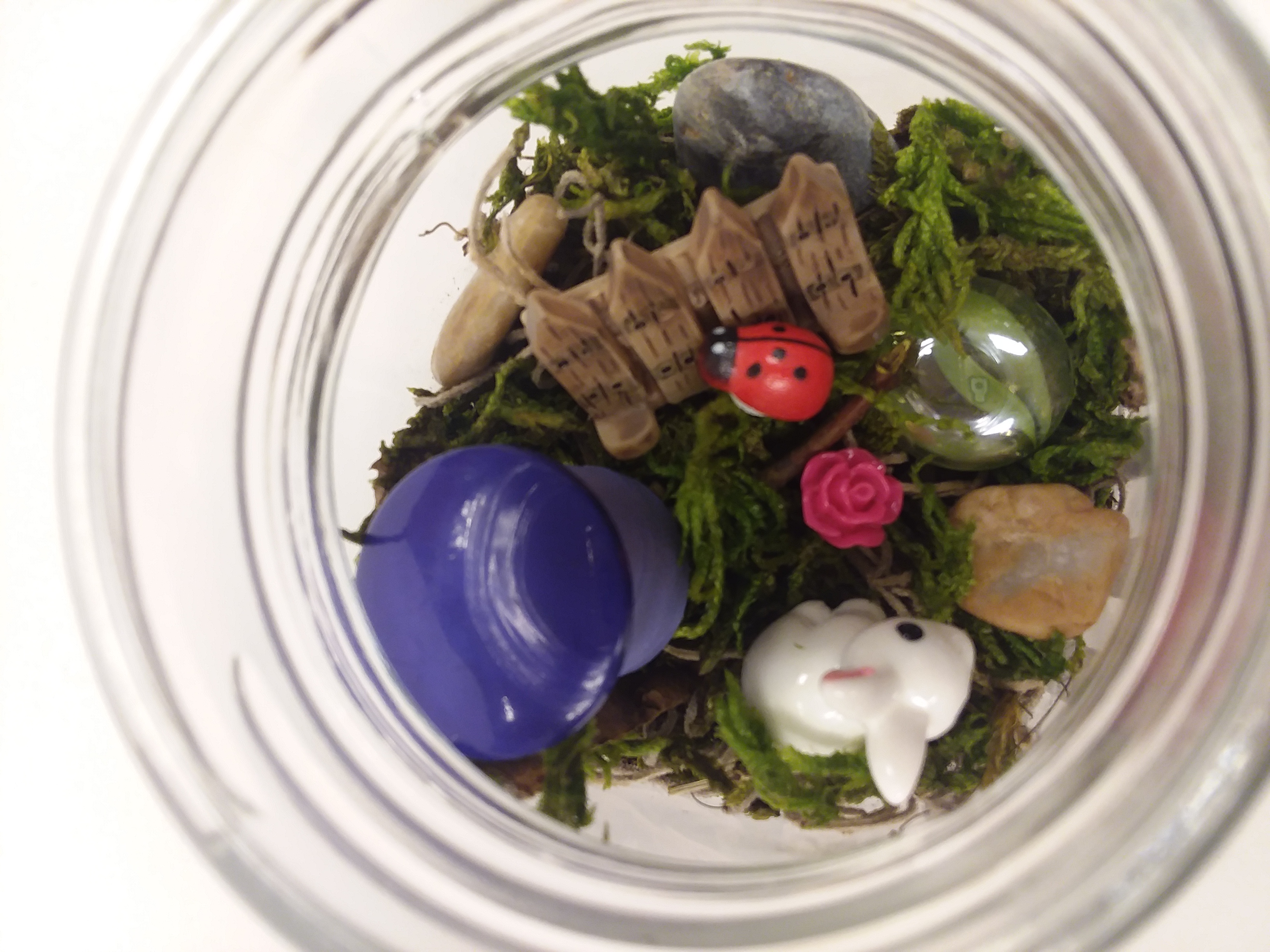 Miniature fairy garden in jar