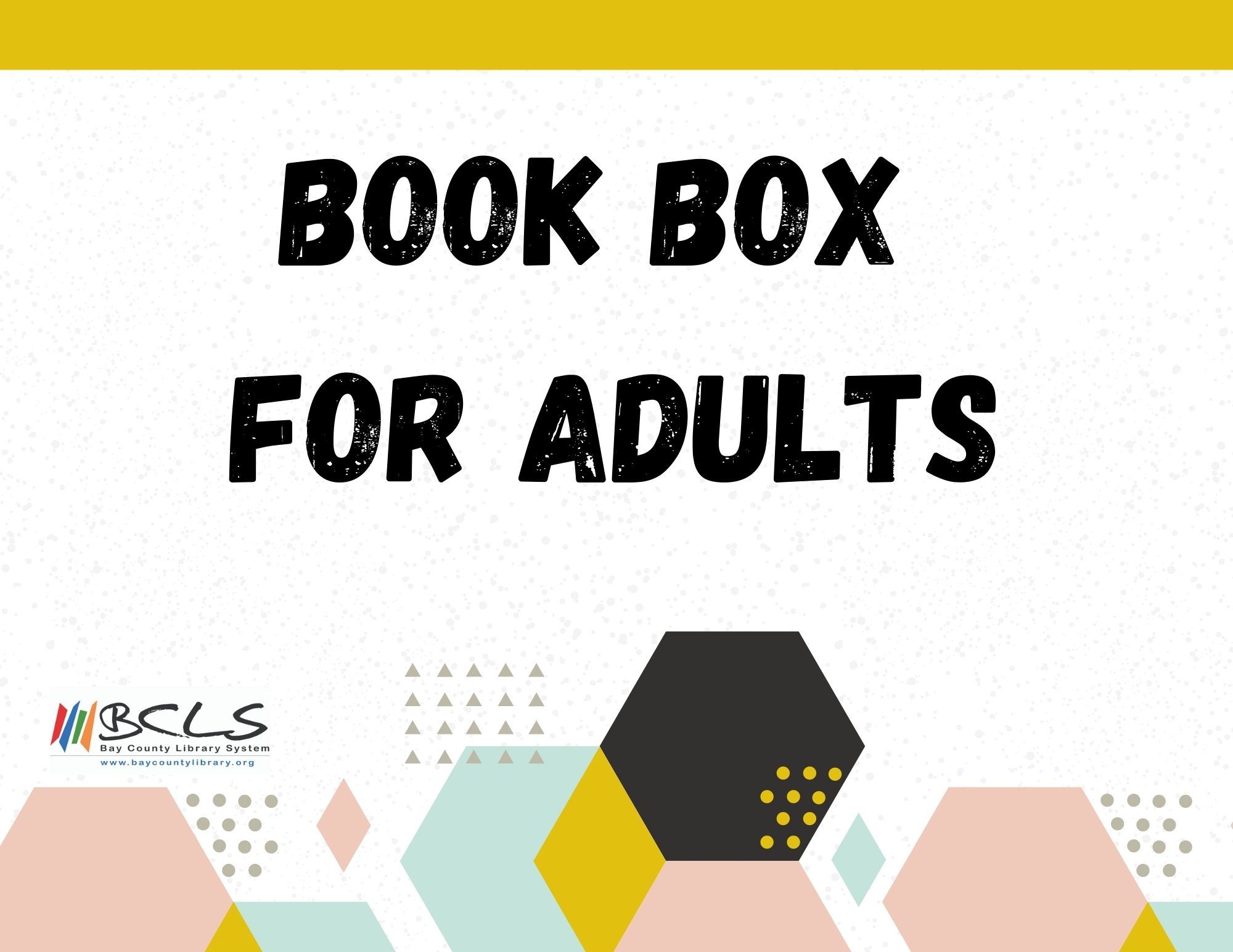 Book Box for Adults