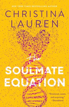 Image for "The Soulmate Equation"