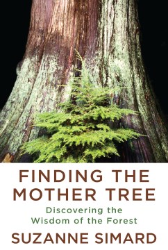 Image for "Finding the Mother Tree: Discovering the Wisdom of the Forest"