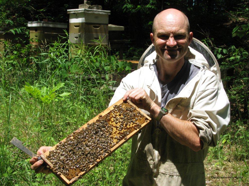 Beekeeper Don Snoeyink with bee panel