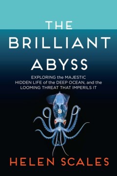 Image for "The Brilliant Abyss: Exploring the Majestic Hidden Life of the Deep Ocean, and the Looming Threat That Imperils It"