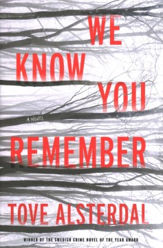 Image for "We Know You Remember"