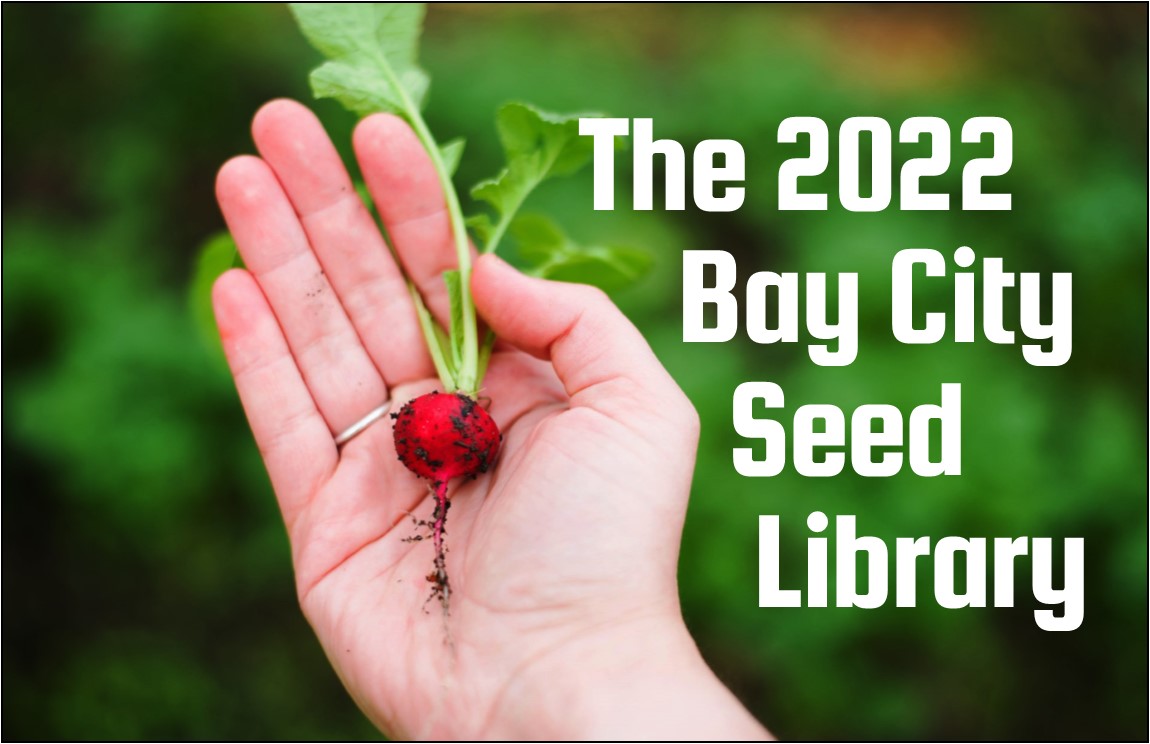 Seed Library Photo