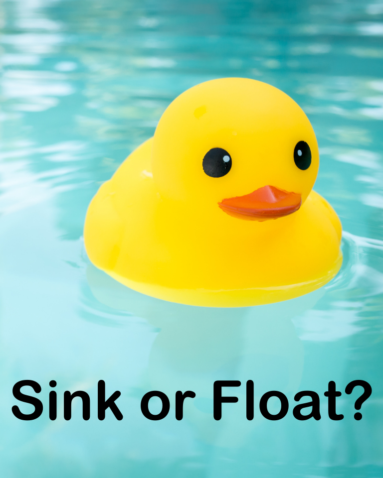 Rubber ducky in water floating with the words Sink or Float?