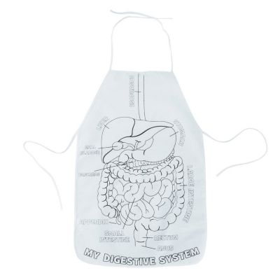 Color your own digestive apron 