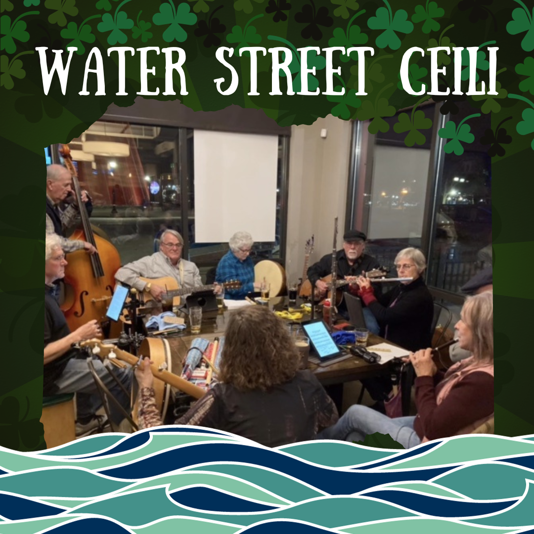 Promo photo of the Water Street Ceili Playing