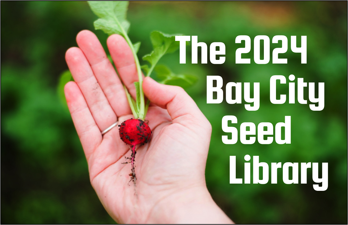 Seed Library Photo