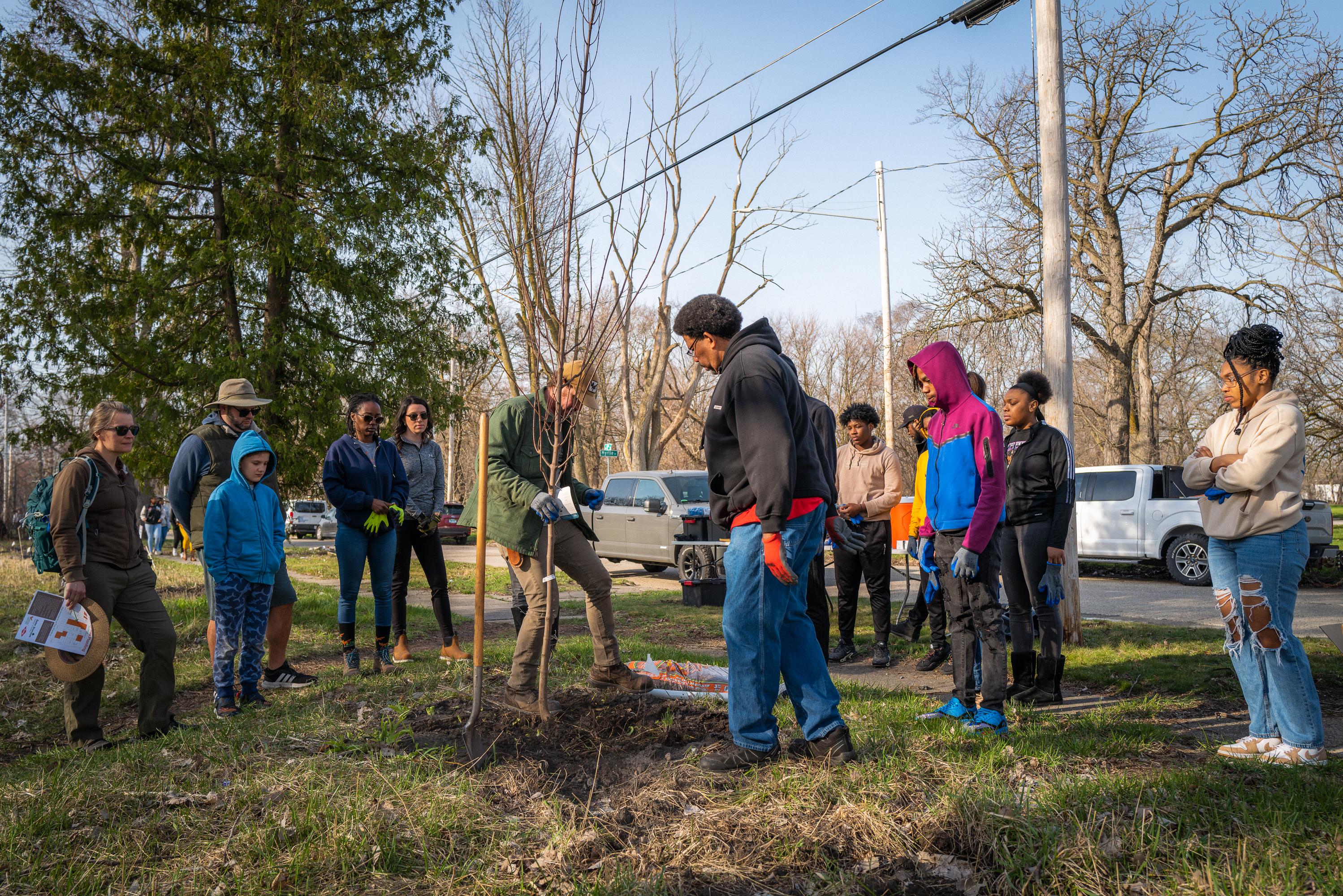 outdoor lot with people planting trees