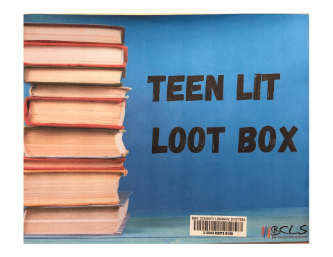 Image for "Teen LitLoot Box"