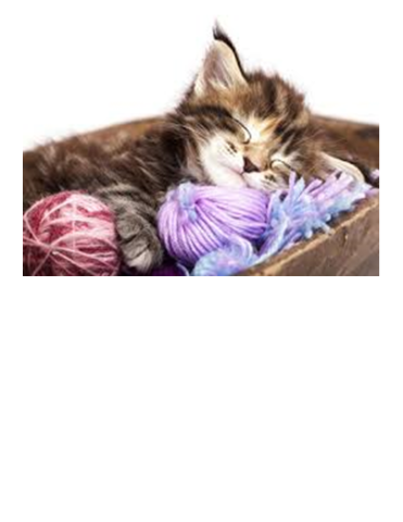 Kitten with yarn