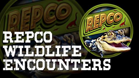 RepCo Wildlife Encounters