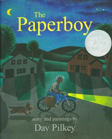 Paperboy book