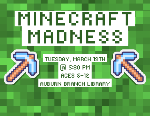 Minecraft Madness