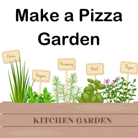 Main Title: Make a Pizza Garden, white background, clipart of a rectangle box with the title "Kitchen Garden" with basil, oregano, rosemary, thyme, and chive plants growing out of the box and labeled