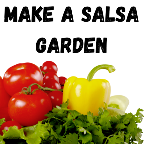 Make a Salsa Garden with picture of tomatoes, yellow pepper, and cilantro