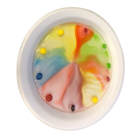 Young Scientists: Colorful World - Skittles Experiment