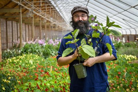 Author Bevin Cohen holding plants