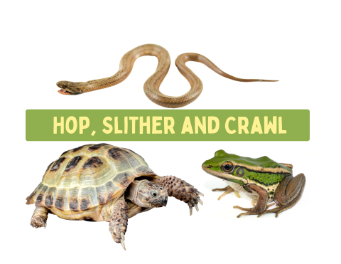 crawl chippewa nature center