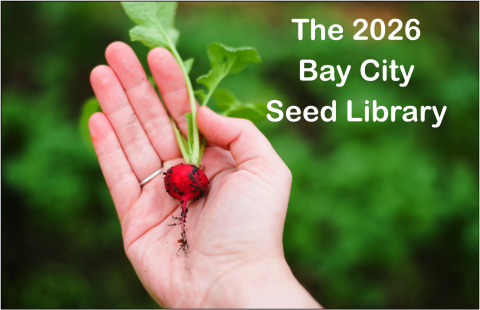 Hand holding a radish