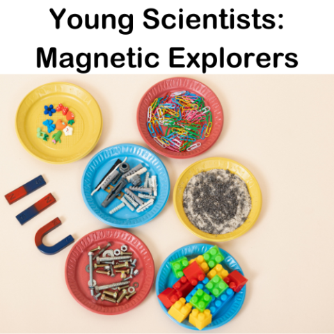 Young Scientists: Magnetic Explorers