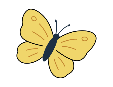 waiting wings insects shiawassee