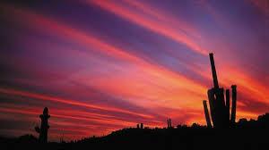 desert 360 adventures