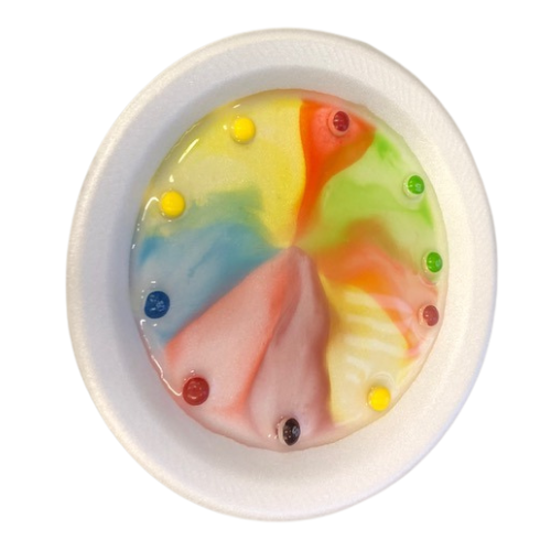 Young Scientists: Colorful World - Skittles Experiment