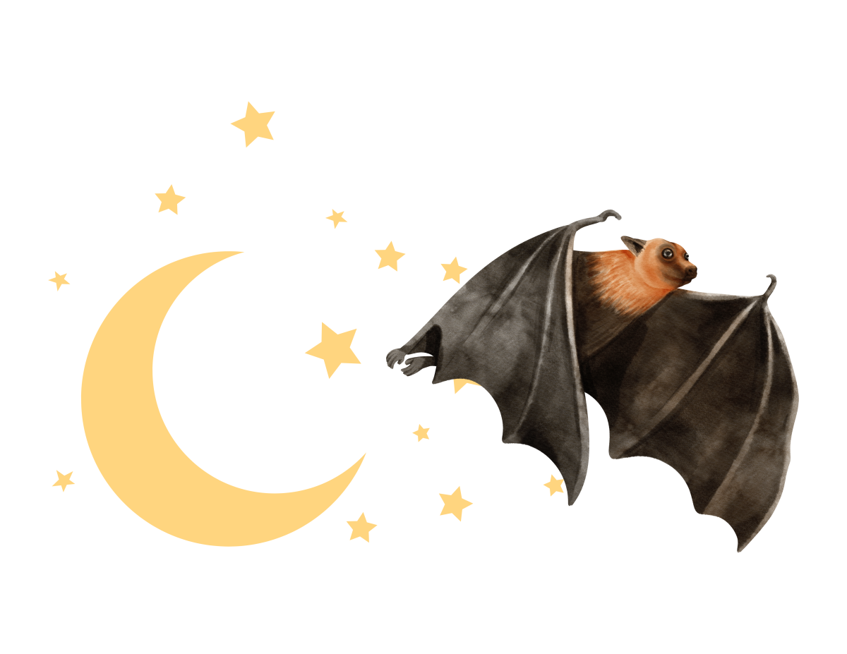 natures ann arbor hands on museum