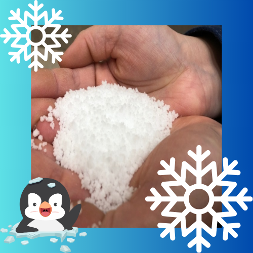 Young Scientists: Ice Melt and Insta Snow (Insta Snow in hands with penguin graphic)