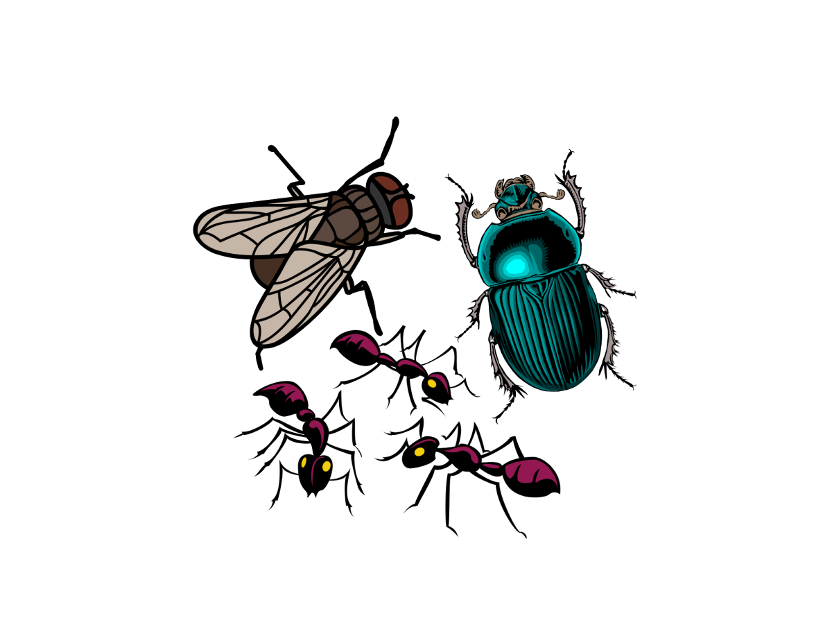 taxidermy michigan insects